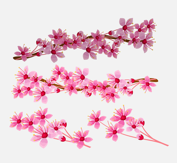 Spring Flowers Branches - Vector, Image