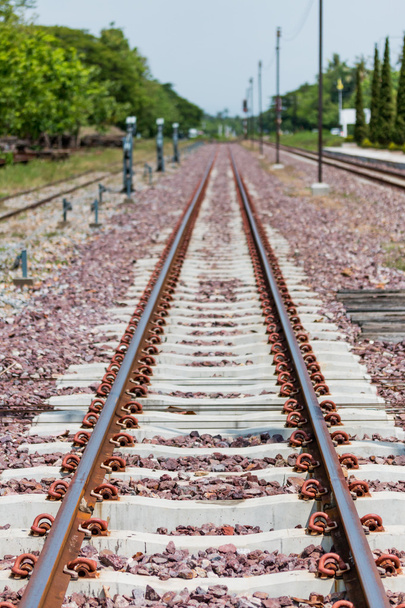 the old railroad tracks - Photo, Image
