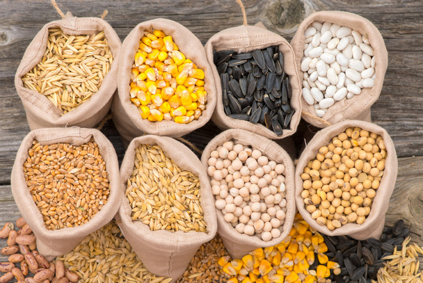 мішки з зерновими (овес, ячмінь, пшениця, кукурудза, боби, горох, соя, соняшник
) - Фото, зображення