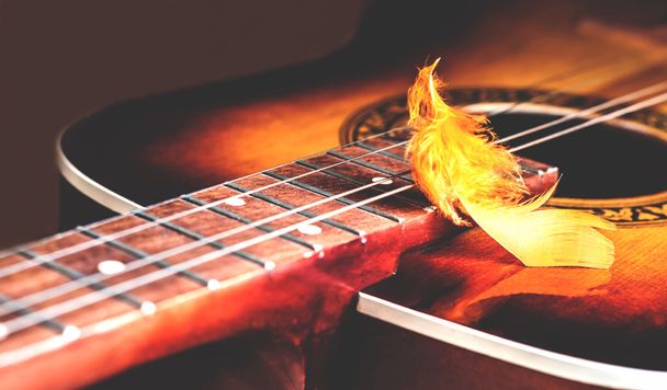 decoratieve plumelet op de snaren van een gitaar - Foto, afbeelding