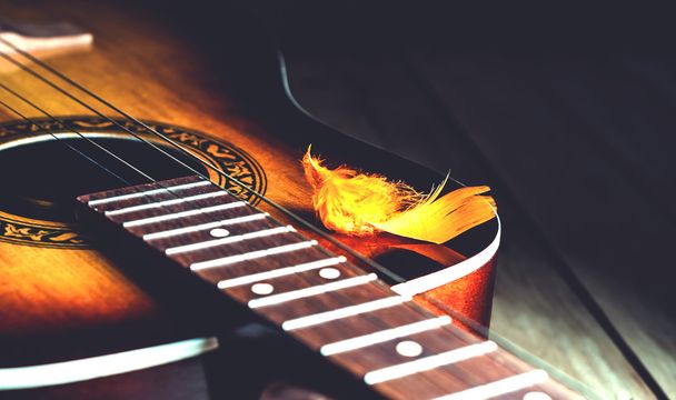 plumelet decorativo nas cordas de uma guitarra
 - Foto, Imagem