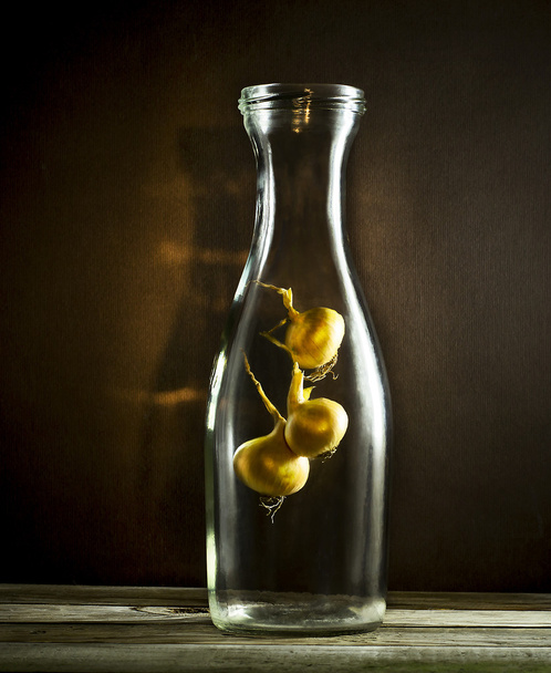 Raw onions hanging in an old glass bottle. - Photo, image