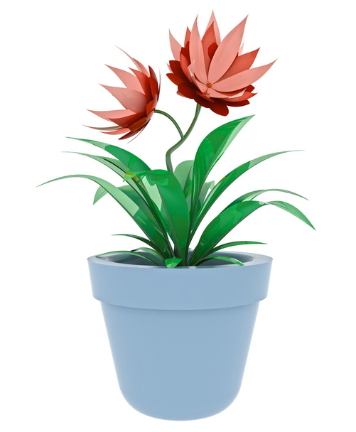 Plante d'intérieur isolée rouge pourpre en pot de fleurs
 - Photo, image