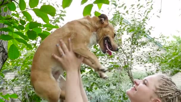 Meisje met dreadlocked houdt op handen een hond. HD - Video