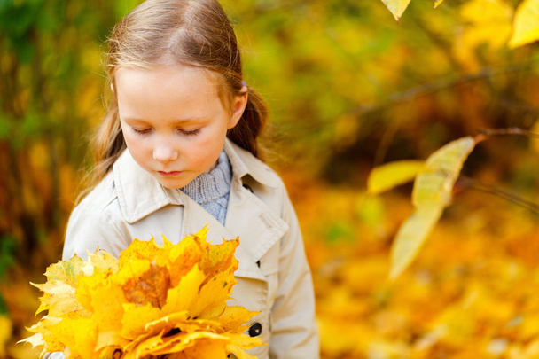 Маленька дівчинка на відкритому повітрі в осінній день
 - Фото, зображення