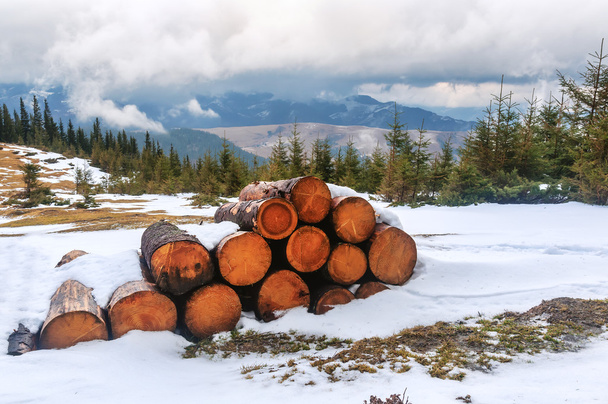 στοίβα κομμένου δέντρου στο χιόνι στα χειμερινά βουνά - Φωτογραφία, εικόνα