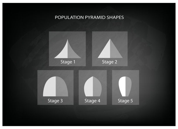 verschiedene Arten von Bevölkerungspyramiden auf Tafelhintergrund - Vektor, Bild