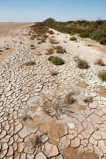 засушливые и пустынные земли
 - Фото, изображение