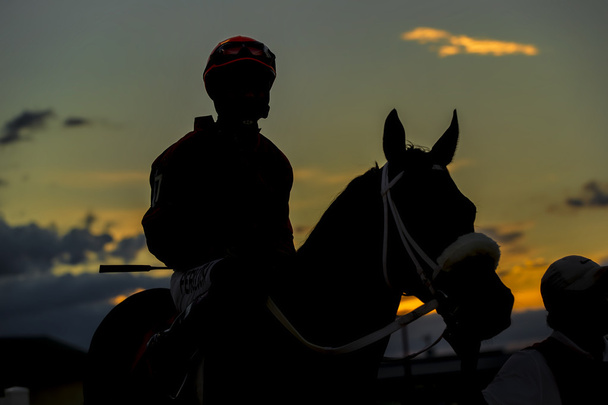 Competitive corse di cavalli
 - Foto, immagini
