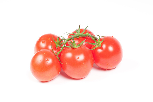 Tomatoes on a branch  - Фото, зображення