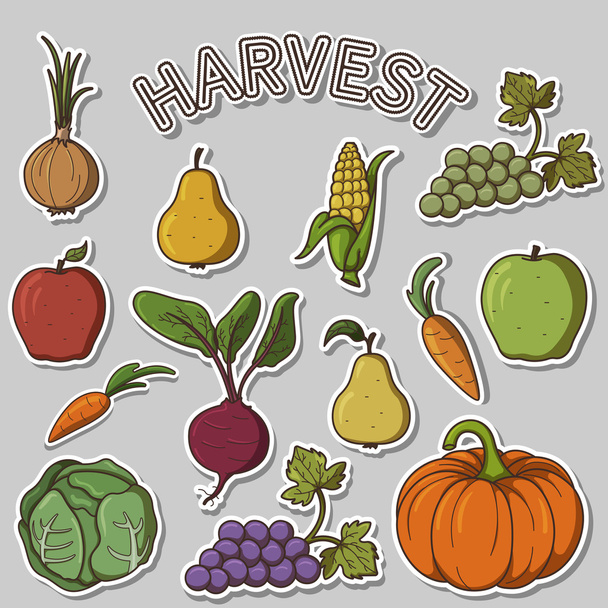 aantal beelden / stickers op het thema van de oogst; aantal illustraties groenten en fruit - Vector, afbeelding