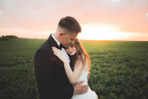 Lovely wedding couple, bride and groom posing in field during sunset - Fotó, kép
