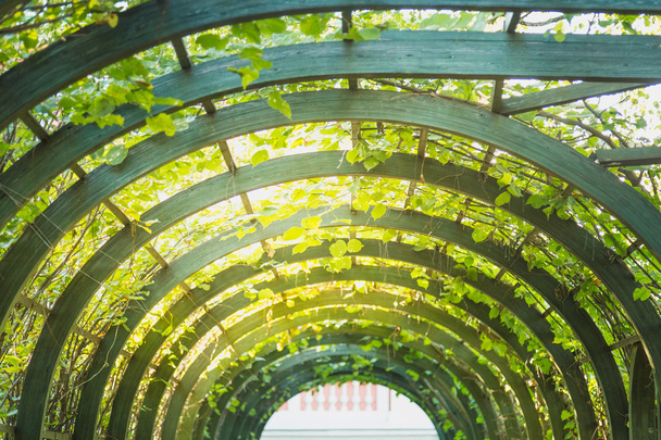 scenic artificial arc in park - Valokuva, kuva