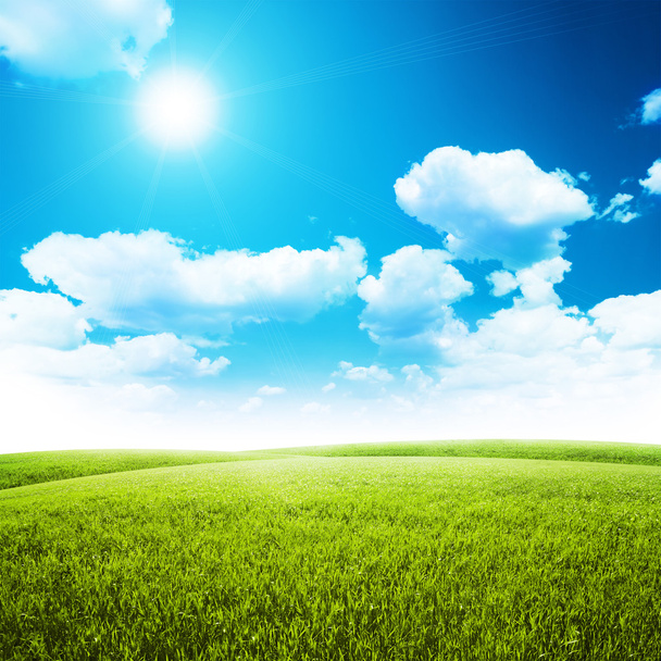 yeşil alan mavi gökyüzünün altında. Güzellik doğa arka plan - Fotoğraf, Görsel