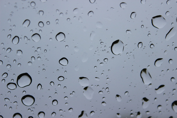 Dešťové kapky na sklo - Fotografie, Obrázek