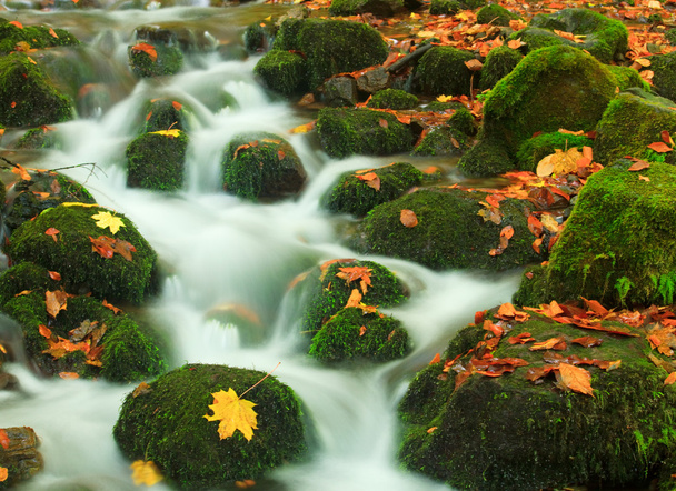 Herbst ein schöner Fluss - Foto, Bild