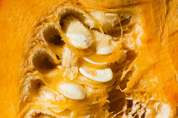 Focus su polpa e semi di zucca arancione con obiettivo macro
 - Foto, immagini
