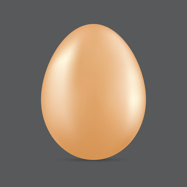 brown vector egg - Вектор,изображение