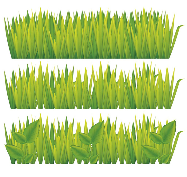 Vihreä ruoho - Vektori, kuva