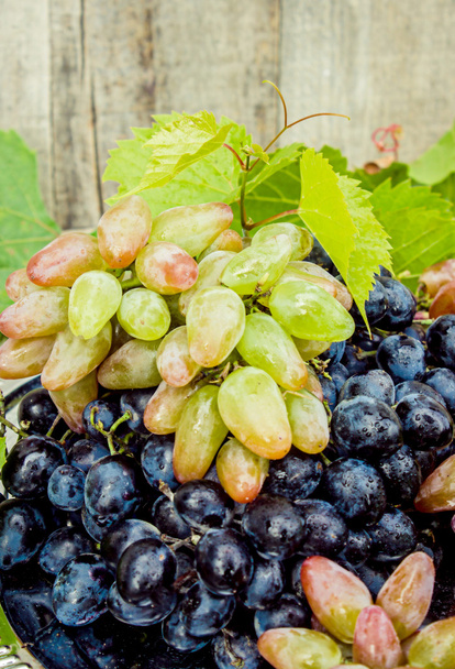 raisins juteux mûrs sur un plateau
. - Photo, image