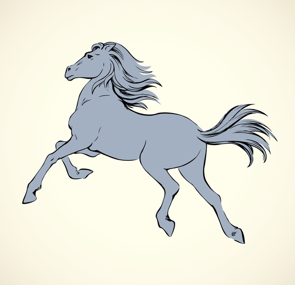 Steigerend paard. Vepktorny tekening - Vector, afbeelding