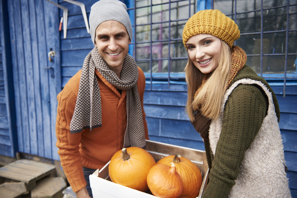 Couple spending time on pumpkin field - Photo, Image