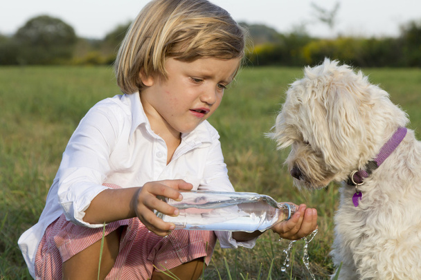 Lindo chico dando agua a su perro
 - Foto, Imagen