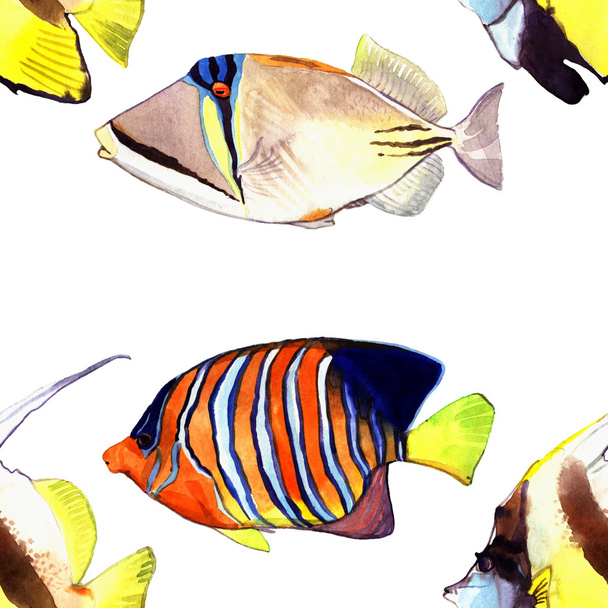 Aquarel vis. Zee vis set illustratie geïsoleerd op witte achtergrond - Foto, afbeelding