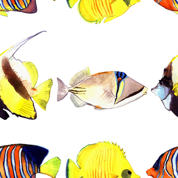 Watercolor fish. Sea fish set illustration isolated on white background - Photo, Image
