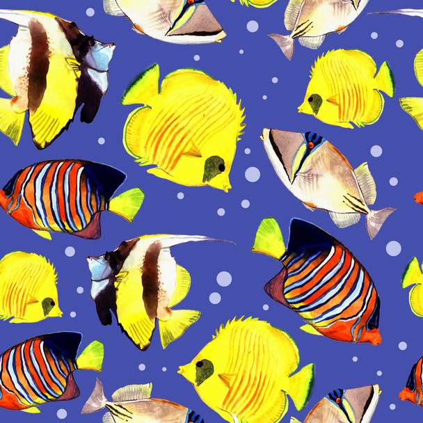 Aquarellfische. Meeresfische Set Illustration isoliert auf weißem Hintergrund - Foto, Bild