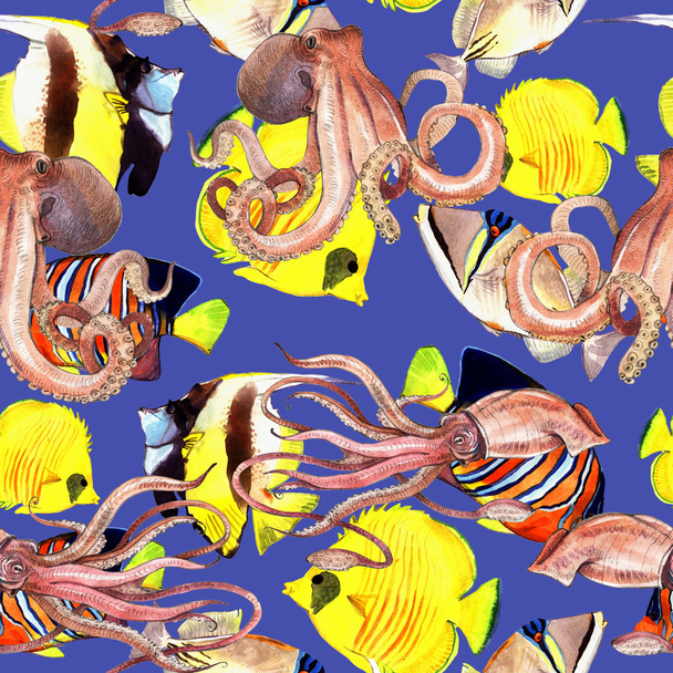 Watercolor squid, octopus - Foto, Imagem