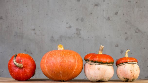 Set of decorative pumpkins - Photo, image