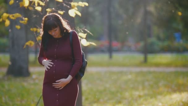 Portrait of young pregnant woman in red dress looking at her belly in the autumn park at sunset - Footage, Video