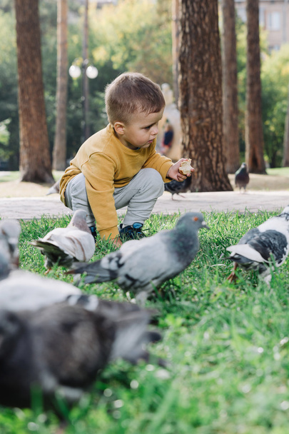 Boy feeds pigeons - Фото, зображення