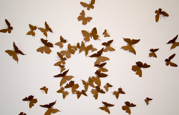 Pembe bir arka plan üzerinde fotoğraf kahverengi kelebekler  - Fotoğraf, Görsel