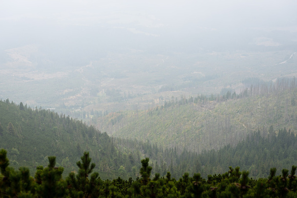 Misty morning mountain view - Fotografie, Obrázek