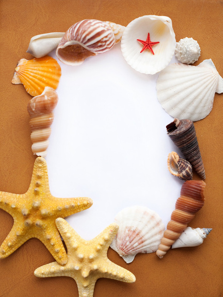 Frame with seashells - Foto, afbeelding