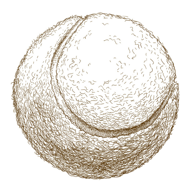 incisione illustrazione della palla da tennis
 - Vettoriali, immagini
