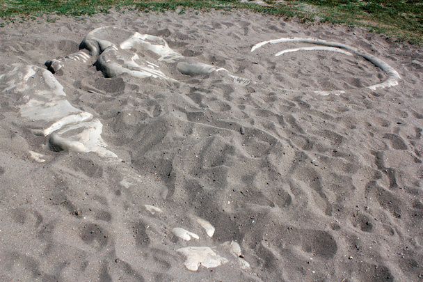 Ossos de mamute na areia
 - Foto, Imagem