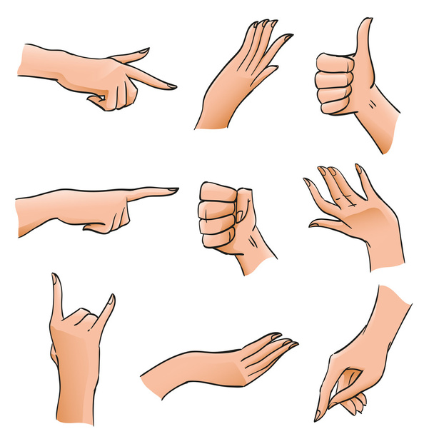 Набор рук и пальцев в разных положениях и жестах. Углы части тела развернуты ладонь, кулак, утвердительный жест для иллюстраций, проектных диаграмм и инструкций, изолированных векторных объектов
 - Вектор,изображение