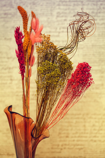 bouquet décoratif design de fleurs et herbes séchées
 - Photo, image