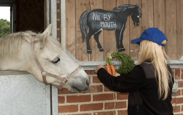 Stabiele meisje met bos van wortelen en pony in een stal - Foto, afbeelding
