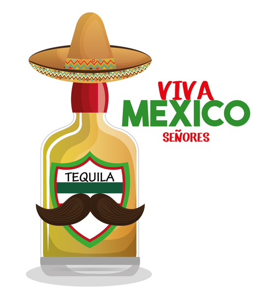 μπουκάλι τεκίλα με καπέλο και μουστάκι γραφικό Μεξικό - Διάνυσμα, εικόνα