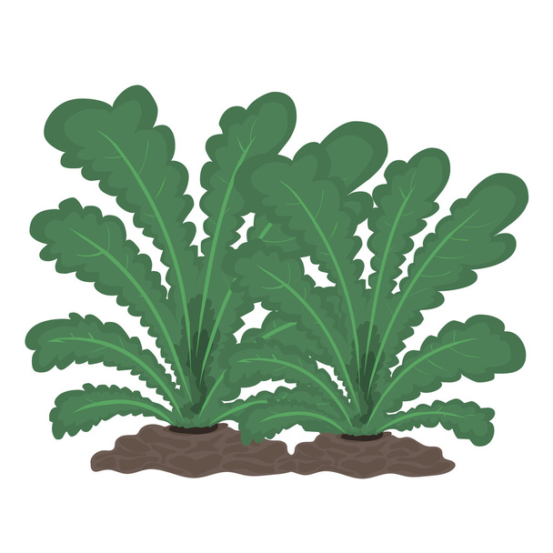 planten geïsoleerd illustratie - Vector, afbeelding