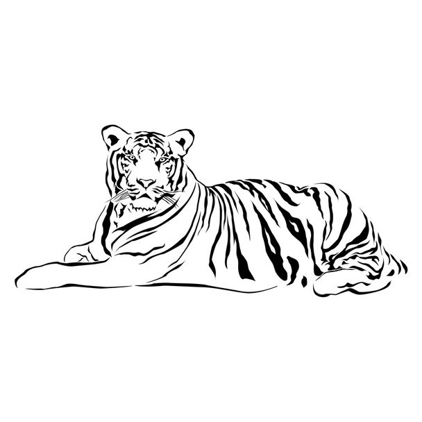 Tigre sentado, blanco y negro, vector
 - Vector, Imagen