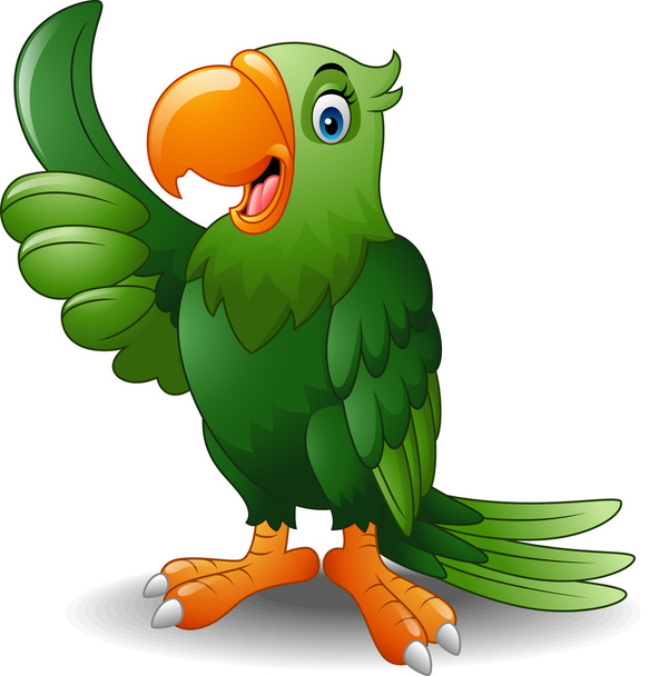 Karikatur glücklicher Papagei gibt Daumen hoch - Vektor, Bild