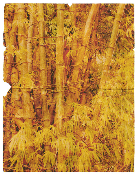 eski, yırtık kağıt parçası ile bambu doku. izole - Fotoğraf, Görsel