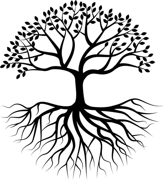 Sílhueta de árvore com raiz
 - Vetor, Imagem