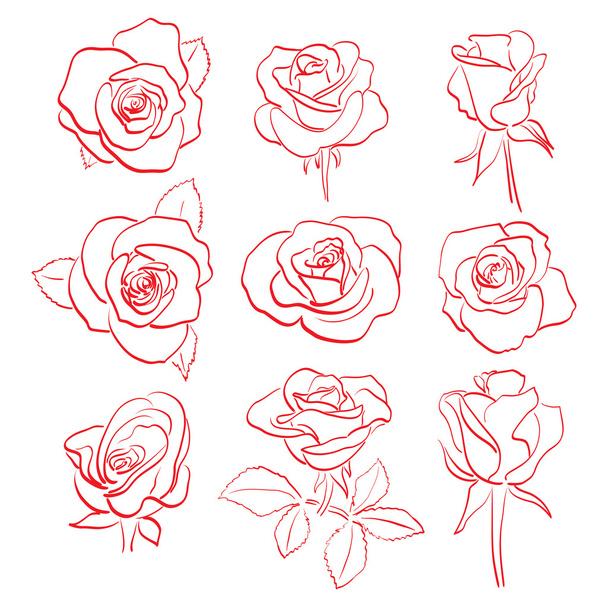 set of beautiful red roses - vector contours - Vector, Image