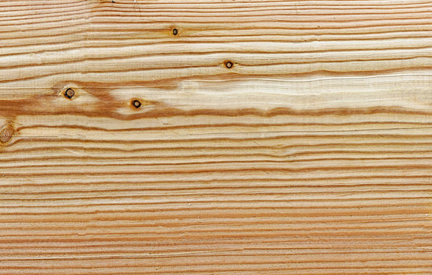 Larch tree - natural wooden texture - Foto, Imagen